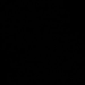 Meet your Posher, Lela